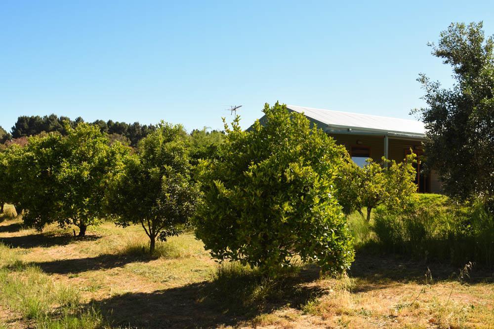 Swan Valley Sisters Henley Brook Zewnętrze zdjęcie