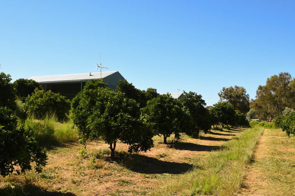 Swan Valley Sisters Henley Brook Zewnętrze zdjęcie