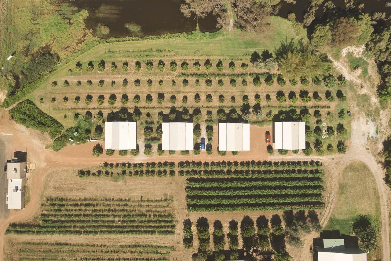 Swan Valley Sisters Henley Brook Zewnętrze zdjęcie