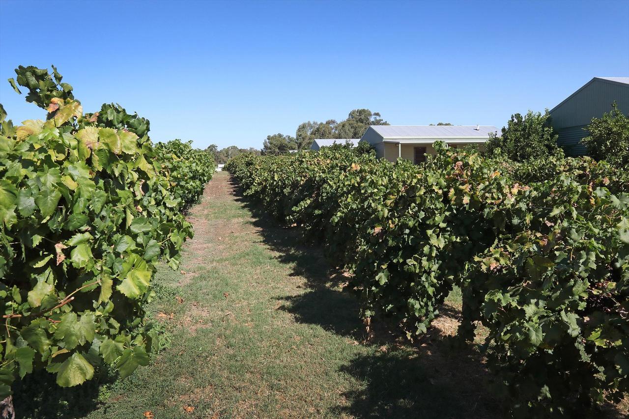Swan Valley Sisters Henley Brook Zewnętrze zdjęcie
