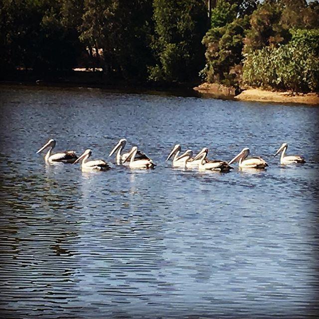 Swan Valley Sisters Henley Brook Zewnętrze zdjęcie